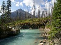 Türkisfarbener Tokumm Creek im Marble Canyon - Kooteney NP